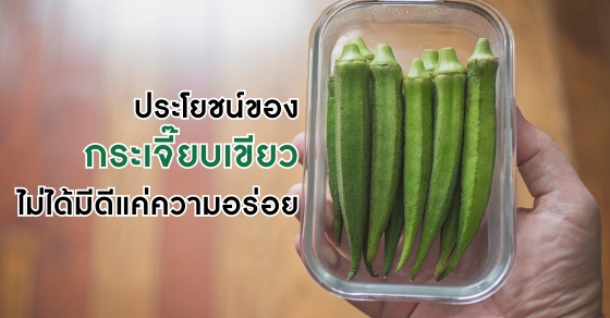 ประโยชน์ของ กระเจี๊ยบเขียว ไม่ได้มีดีแค่ความอร่อย